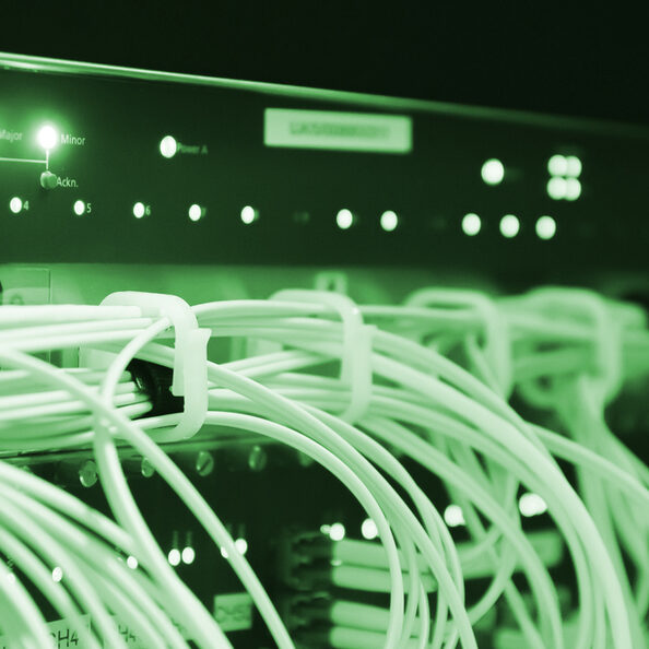 Kabel in einem Server - Symbolfoto schnelles Internet